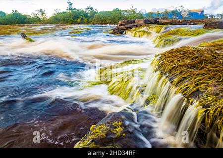 Landschaftlich schöner Blick auf die Strömung des Carrao-Flusses im Canaima-Nationalpark Venezuela Stockfoto