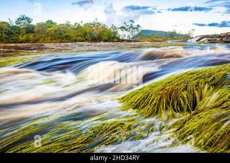 Landschaftlich schöner Blick auf die Strömung des Carrao-Flusses im Canaima-Nationalpark Venezuela Stockfoto