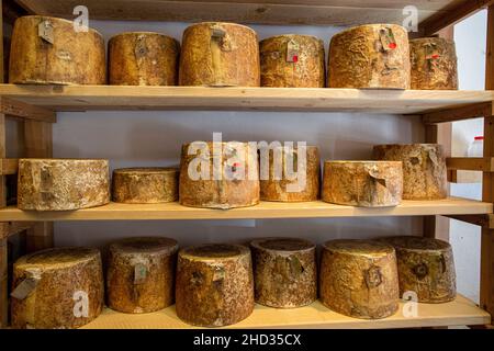 Neal s Yard Dairy verkauft Käse auf dem Borough Market in Southwark, London, England. Stockfoto