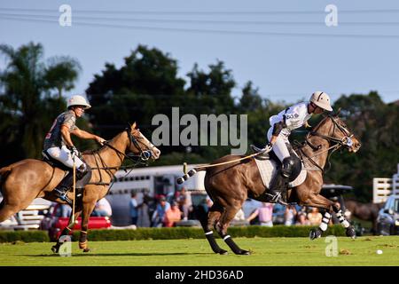 Wellington, USA. 02nd Januar 2022. Iglehart Cup Finale zwischen dem La Fe Polo Team und Beverly Polo im International Polo Club. Kredit: Yaroslav Sabitov/YES Market Media/Alamy Live Nachrichten Stockfoto