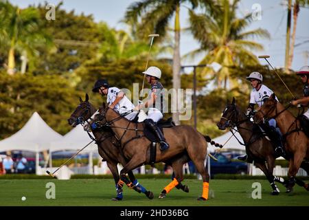 Wellington, USA. 02nd Januar 2022. Iglehart Cup Finale zwischen dem La Fe Polo Team und Beverly Polo im International Polo Club. Kredit: Yaroslav Sabitov/YES Market Media/Alamy Live Nachrichten Stockfoto