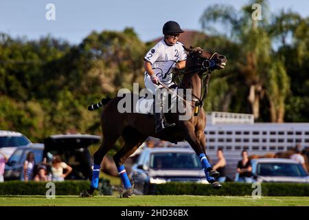 Wellington, USA. 02nd Januar 2022. Iglehart Cup Finale zwischen dem La Fe Polo Team und Beverly Polo im International Polo Club. Kredit: Yaroslav Sabitov/YES Market Media/Alamy Live Nachrichten Stockfoto