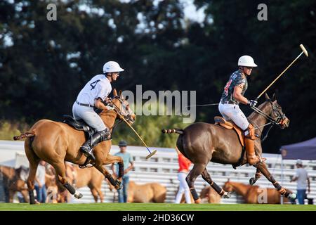 Wellington, USA. 02nd Januar 2022. Iglehart Cup Finale zwischen dem La Fe Polo Team und Beverly Polo im International Polo Club. Kredit: Yaroslav Sabitov/YES Market Media/Alamy Live Nachrichten Stockfoto