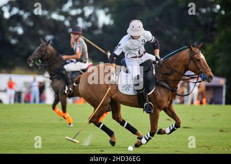 Wellington, USA. 02nd Januar 2022. Iglehart Cup Finale zwischen dem La Fe Polo Team und Beverly Polo im International Polo Club. Kredit: Yaroslav Sabitov/YES Market Media/Alamy Live Nachrichten Stockfoto