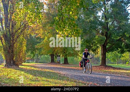 Radfahren auf dem Murray to Mountains Rail Trail durch Myrtleford Stockfoto