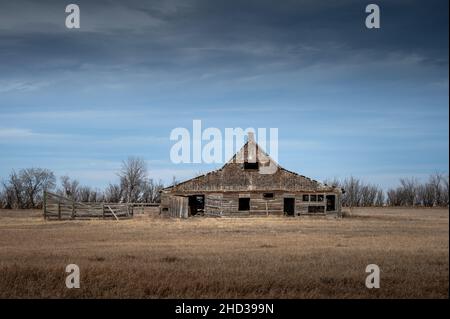 Alte verlassene Scheune auf dem Feld unter einem düsteren Himmel in Alberta, Kanada Stockfoto