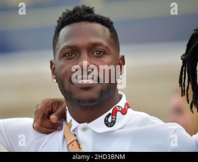 **DATEI FOTO** Antonio Brown ist nach dem Beenden des Spiels kein NFL Tampa Bay Buccaneer mehr. HALLANDALE, FL - MÄRZ 31: Antonio Tavaris Brown Sr. Sieht Audible in der Strecke weglaufen, um das Grade 1 Florida Derby mit Jockey John Velazquez zu gewinnen. Es ist der fünfte Florida Derby-Sieg für Trainer Todd Pletcher, der letztes Jahr sowohl die Florida als auch die Kentucky Derbies mit Always Dreaming im Gulfstream Park gewann. Antonio Tavaris Brown Sr. Ist ein American Football Wide Receiver für die Pittsburgh Steelers der National Football League. Am 31. März 2018 in Hallandale, Florida Credit - Hoo-Me.com/MediaPunc Stockfoto