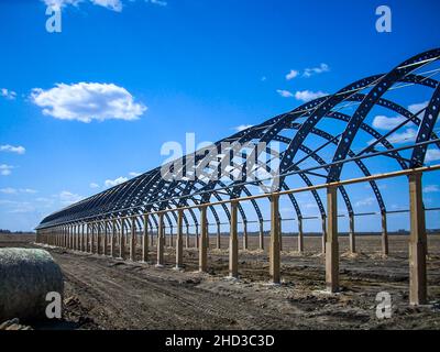 Rahmen und Metallbögen eines gewebten Reifens Scheune im Bau. Stockfoto