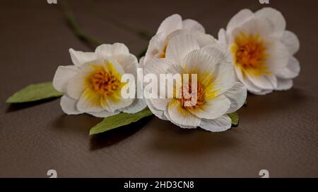 Handgefertigte Weiße Krepppapierblume Stockfoto