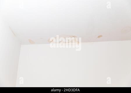 Flecken an der Decke und an der Wand aufgrund von Wasserlecks Stockfoto