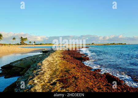 Felsvorsprung am Saltpond Beach in der Nähe von Hanapepe auf Kauai Stockfoto