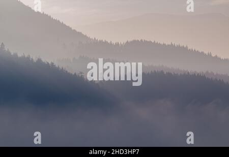 Bergkette am Morgen schönes Licht. Berglandschaft mit blauen Gradienten in Kanada. Reisefoto, niemand, Platz für Text kopieren, selektiver Fokus Stockfoto