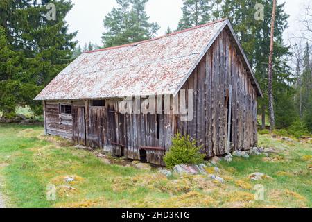 Alte verwitterte Schuppen im Wald Stockfoto