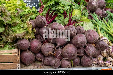 Die Rüben auf einem französischen Markt, Frankreich Stockfoto