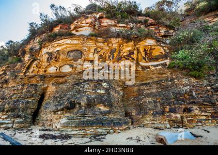 Geschichtete Sedimentgesteinsformation aus Hawkesbury-Sandstein in Maitland Bay, Bouddi-Nationalpark, Central Coast, New South Wales, Australien Stockfoto