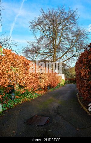 Eintritt in die Präsidentenloge am Wolfson College, Universität Cambridge, England. Stockfoto