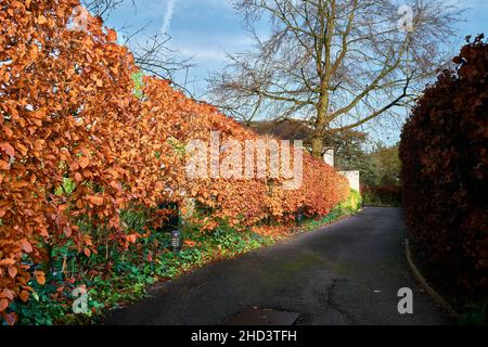 Eintritt in die Präsidentenloge am Wolfson College, Universität Cambridge, England. Stockfoto