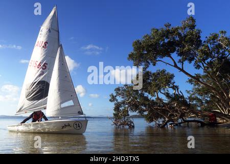 Beiboot-Seemann auf Wallis Lake, NSW, Australien. Kein MR oder PR Stockfoto