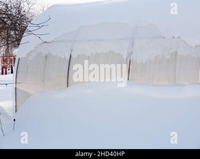 Im Wintergarten ist ein kleines Polycarbonat-Gewächshaus mit Schnee bedeckt. Stockfoto