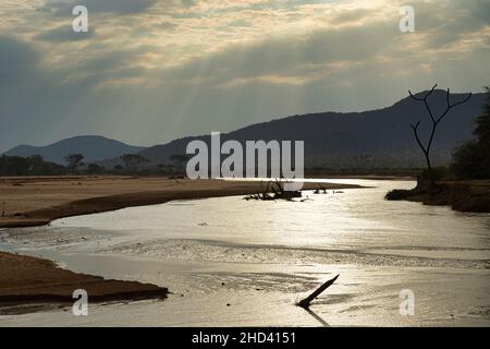Der Ewaso Ngiro River fließt durch das Samburu National Reserve in Kenia. Stockfoto