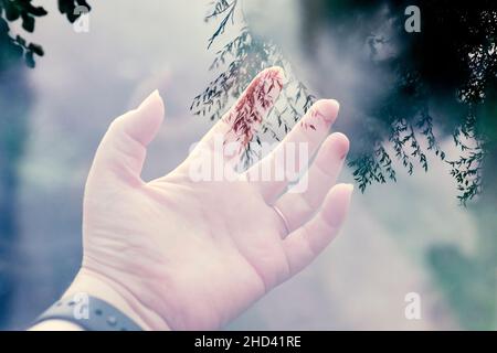 Doppelbelichtung einer offenen Hand über Blättern in einem Garten Stockfoto