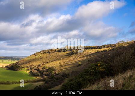 Aufsteigender Fovant unten neben den Abzeichen auf den westlichen Wiltshire Downs, Cranbourne Chase, Südwesten Englands Stockfoto