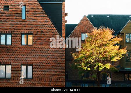 Außenansicht der University of Illinois at Urbana-Champaign in den Vereinigten Staaten Stockfoto