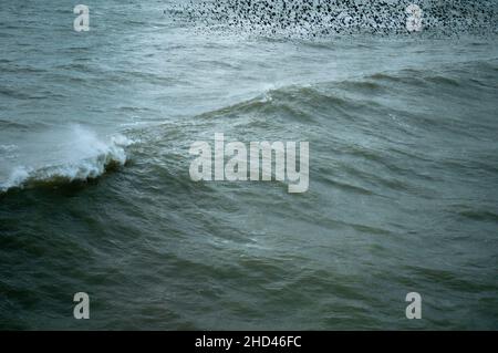 Eine Murmuration über dem Meer vor dem Strand in Brighton, East Sussex, Großbritannien Stockfoto