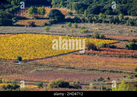 Weinlandschaft bei Aniane im Herault-Tal. In Frankreich Stockfoto