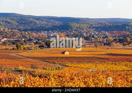 Weinlandschaft bei Aniane im Herault-Tal. In Frankreich Stockfoto