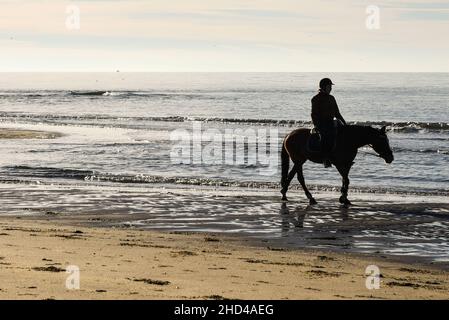 Julianadorp, Niederlande. Juli 2010. Reiter mit Pferd in der ruhigen Brandung am Strand der Nordsee bei Julianadorp. Hochwertige Fotos Stockfoto