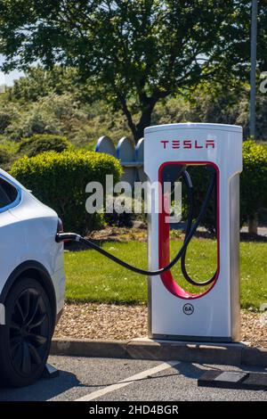 Grantham, Großbritannien - Mai 30th 2021: Tesla-Kompressor in einem Autobahnrastgebiet mit weißem Modell x. Hochwertige Fotos Stockfoto