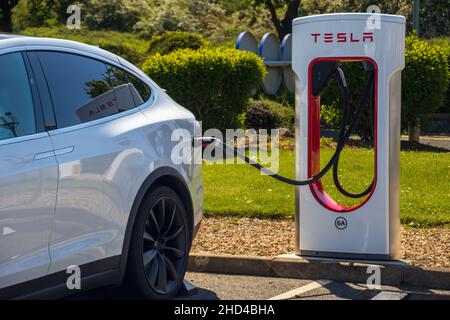 Grantham, Großbritannien - Mai 30th 2021: Tesla-Superladegerät in ein weißes tesla-Modell x gesteckt. In einem Autobahnrastgebiet.Hochwertiges Foto Stockfoto