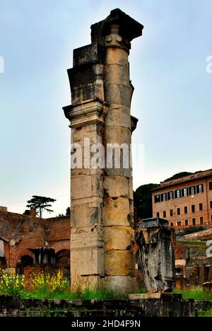 Vertikale Aufnahme von zwei antiken Säulen in der Basilica Julia, Forum Romanum, Italien vor blauem Himmel Stockfoto