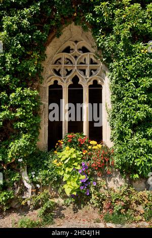 Kloster Bebenhausen, bei Tübingen: gotisches Fenster mit idyllischer Bepflanzung Stockfoto