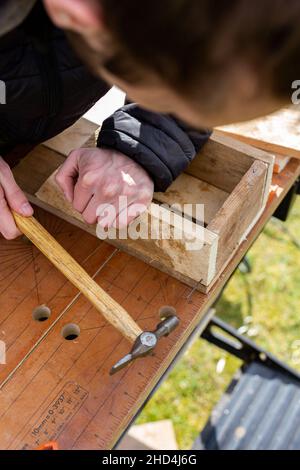 Nahaufnahme einer Person, die ein DIY-Projekt zusammenhammelt. DIY, Bau, Heimwerkerkonzept Stockfoto