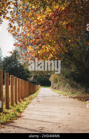 Vertikale Aufnahme eines Fußgängerweges in einem Park im Herbst mit einem Holzzaun auf der linken Seite Stockfoto