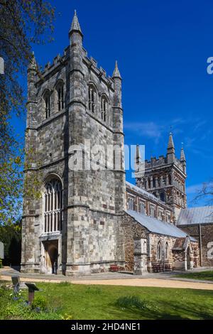 England, Dorset, Wimborne, Wimborne Minster Church Stockfoto