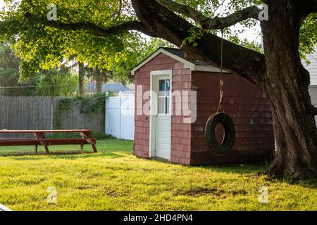 An einem sonnigen Tag hängt eine Reifenschaukel an einem Baum neben einem kleinen Landhaus Stockfoto