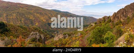 Panoramaaufnahme der Berge, die mit herbstbunten Bäumen und Pflanzen bedeckt sind Stockfoto