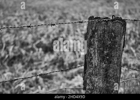 Alter Stacheldrahtzaun in schwarz weiß Stockfoto