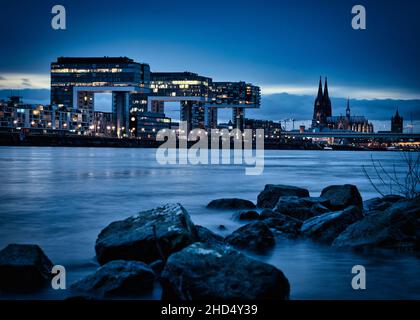 Kölner Skyline mit Kranhäusern, Kuppel und Rhein zur blauen Stunde Stockfoto