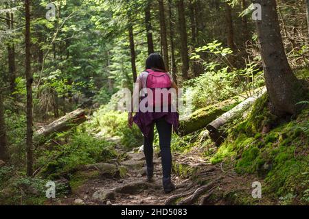 Waldwanderweg Frau Wandern Wandern Aktive Menschen leben im Rucksack. Rückansicht Stockfoto