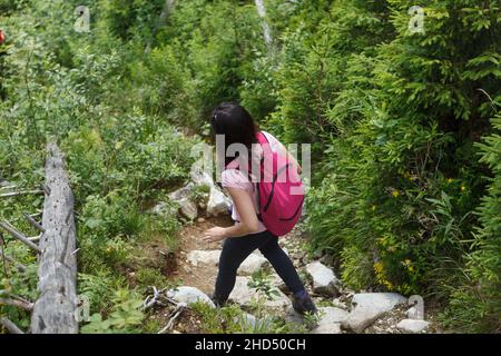 Wanderer zu Fuß in die Berge. Frau wandert durch den Wald und geht auf Wanderwegen. High-Profile-Aufnahme. Stockfoto