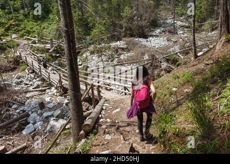Wanderer zu Fuß in die Berge. Frau wandert durch den Wald und geht auf Wanderwegen. Rückschuss. Stockfoto