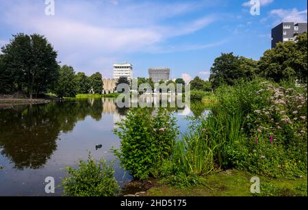 Marl, Nordrhein-Westfalen, Deutschland - Blick auf die Stadt mit Rathaus und Skulturenmuseum Glaskasten am Stadtsee. Stockfoto