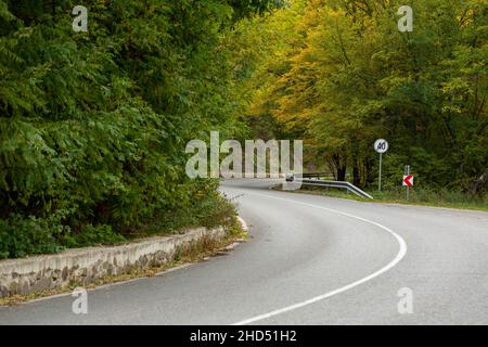 Schöne und saubere Asphaltstraße mit Straßenschildern und großen Bäumen Stockfoto