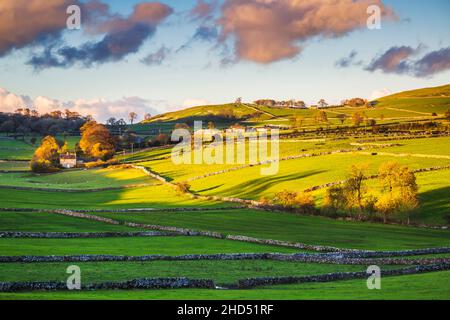 Blick am späten Abend auf den White Peak bei Alstonefield in der Nähe von Ashbourne. Stockfoto