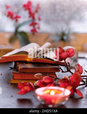 Winterzeit mit Kerze auf Stapel alter Bücher. Sonnenuntergangsfenster mit orangefarbenem Glanz, rosa und fuchsienfarbenen Orchideen und Magnolienblüten. Aromatische Kerzen, Tee