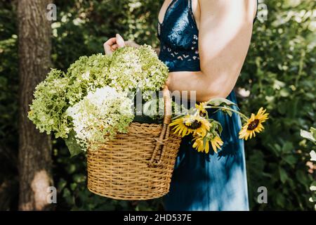 Frau in Kleid hält Korb voller Hortensien und Sonnenblumen Stockfoto